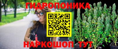 кокс Гагарин