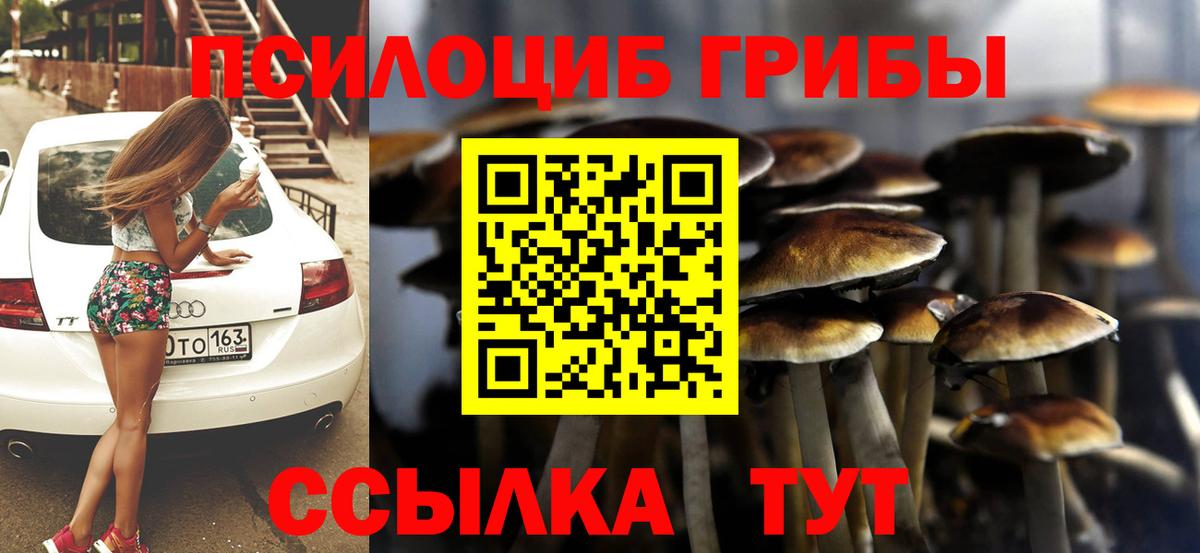 Псилоцибиновые грибы MAGIC MUSHROOMS Заинск