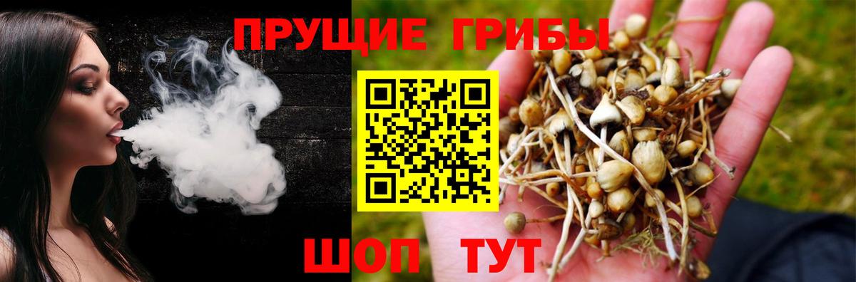 Псилоцибиновые грибы MAGIC MUSHROOMS  Псилоцибиновые грибы Psilocybine cubensis  Вход с VPN  Заинск 